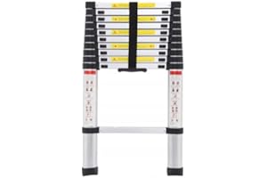 STANDHEIZ Teleskopleiter 2,9M, Klappleiter, Aluminium Mehrzweckleiter, Leiter aus hochwertigem Aluminium für Bauarbeiten max. 150 kg 290cm