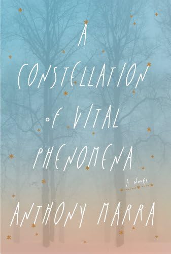 A Constellation of Vital Phenomena (Thorndike Press Large Print Reviewers' Choice)