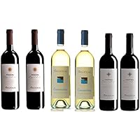 6 bottiglie di Vino della Cantina Argiolas cl.75 (2 Vermentino Costamolino DOC - 2 Monica Perdera DOC - 2 Cannonau Costera DOC)
