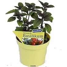 Amazon.de: edi Garden