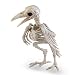 Produktbild Tinksky Tier Skeleton Knochen Horror Halloween Dekoration Halloween Prop Vogel Krähe Skelett Dekoration