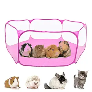 RYPET Guinea Pig Playpen - Breathable & Transparent Pet Playpen Pop Open Outdoor/Indoor Exercise Fence, Portable Yard Fence for Guinea Pig, Rabbits, Hamster, Chinchillas and Hedgehogs