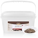 3 kg Akticolon PLUS Flohsamenpellets Prebiotic Bentonit Vitamin B Komplex