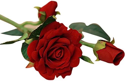 Winwintom 5Pcs Real Latex Touch Rose Flowers Bouquet Decor (C)