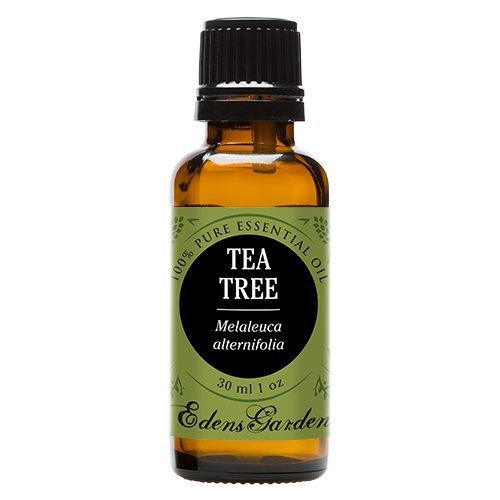 Edens GardenTea Tree (Melaleuca) Therapeutic Grade Essential Oil- 30 ml