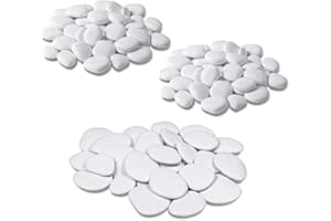 Teraplast Pietre Decorative in plastica Riciclata, per vasi, Giardini, acquari e terrari (1L 2S, Bianco)