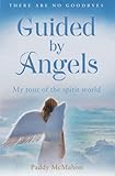Guided by Angels: My Tour of the Spirit World by 