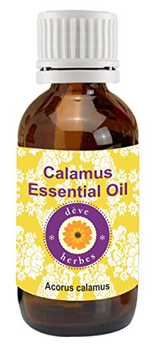 Deve Herbes Pure Calamus Essential Oil (Acorus Calamus) Non-Sticky | Non-Greasy | Warm Woody Aroma | for Aromatherapy, Massage, Diffuser & Blends 15ml with Glass Dropper