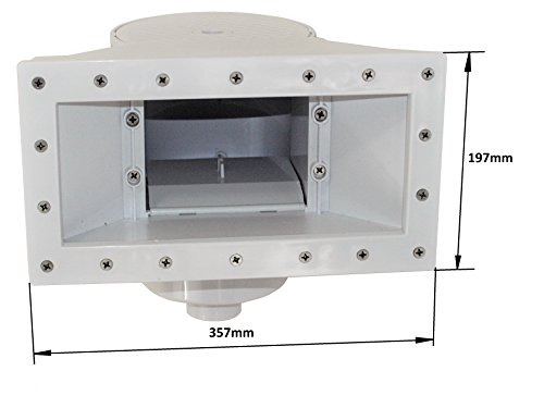 Breitmaulskimmer (A40) - 2