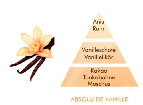 Düfte von Lampe Berger Paris Absolu de Vanille 500 ml - 2