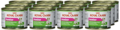 Royal-Canin-Mini-Junior-195-GR