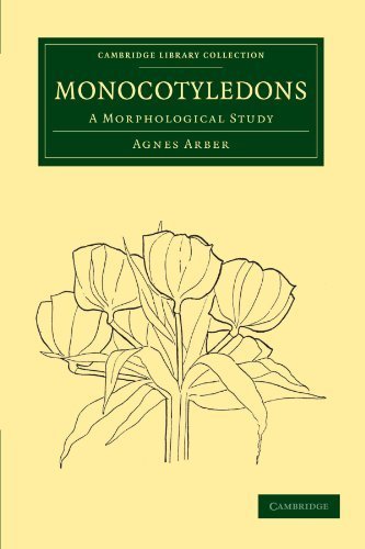Monocotyledons: A Morphological Study (Cambridge Library Collection - Botany and Horticulture) Reissue edition by Arber, Agnes (2010) Paperback francais Monocotyledons: A Morphological Study (Cambridge Library Collection - Botany and Horticulture) Reissue edition by Arber, Agnes (2010) Paperback francais