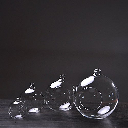 Hängende Glas Blumenvase Vase für Hängedeko Pflanzen Dekoration – 12cm Durchmesser - 9