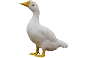 Gralara Ornamenti Giardino Uccelli Finti, Oca