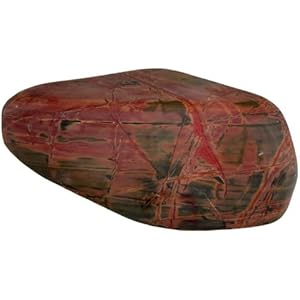 3 Kg Dschungelstein 10-25cm, Dekoration für Aquarien und Terrarium