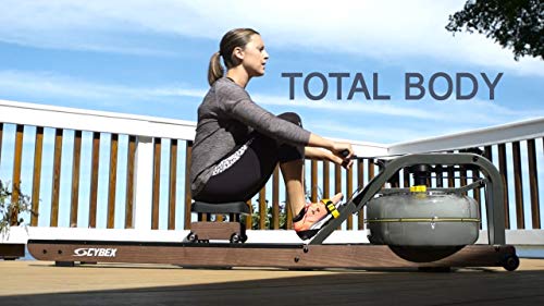 Preisvergleich Produktbild Cybex Fitness Hydro Rower - Rudergerät