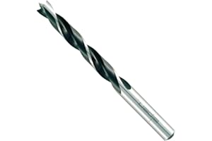 Alpen 61601100100 CV/HSS Perceuses à cheville, Gris, 11,0 mm
