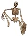 Produktbild Cultica(R) Deko Figur Horror Skelett rundum plastisch komplett 1,1 Meter groß Grusel Gerippe Halloween Hänge Schocker
