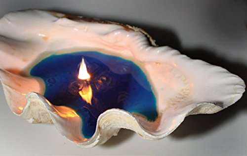 Schwimmlichter – Original Öl-Flämmchen (5 Stück + 1 m Docht + Farbset in einem Geschenkkarton) - 7