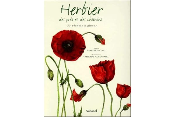 Herbier des prés et des chemins : 35 plantes à glaner
