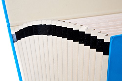 Organizador Archivo reviews Organizador Archivo