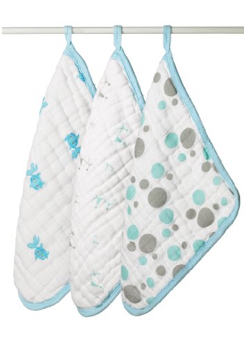 aden + anais Hide And Sea Muslin Washcloths (3-Pack)