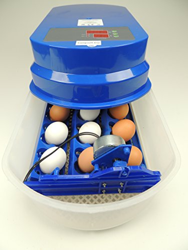 S12 Motorbrüter autom. Wendung Brutapparat, Inkubator, für bis zu 48 Eier Inkubator - 2