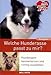 Produktbild Welche Hunderasse passt zu mir - Hundetypen kennenlernen und richtig auswählen (Edition Ein Herz Für Tiere, illustriert) - 2013