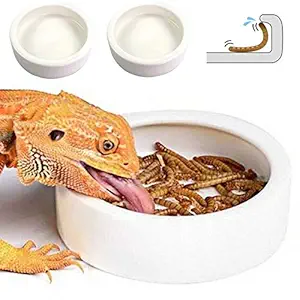 Reptile Food Water Bowl - 2 Pcs Worm Dish Small (2.75in) Lizard Gecko Ceramic Pet Bowls, Mealworms Bowl for Bearded Dragon Chameleon Hermit Crab Dubia Reptile Cricket Anti-Escape Mini Reptile Feeder