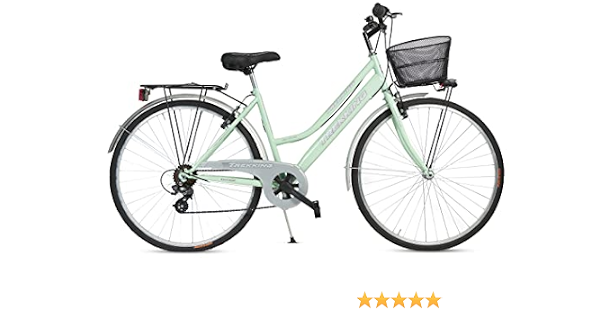 Bicicletta Donna da Passeggio Olanda Misura 28 Bici da città Vintage retrò  con Cestino Verde Con Cambio : Amazon.it: Sport e tempo libero