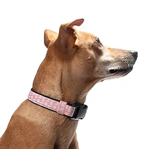 Pixie Drip | Dog Collar | Pink Bunny | for Small, Medium and Large Breeds (Medium)