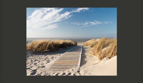 Vlies FotoTapete | TOP | Tapete | Fototapeten | Tapeten | Wandbilder XXL | Strand ! Sand ! Wasser ! Natur ! Himmel ! Sommerferien ! Düne ! Sommer ! Wolken ! Blau ! Nordsee ! 300×231 cm ! 100403-39 - 2