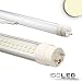 Produktbild IsoLED T8 LED Röhre, 120cm, 22Watt, Highline+, naturweiss, klar