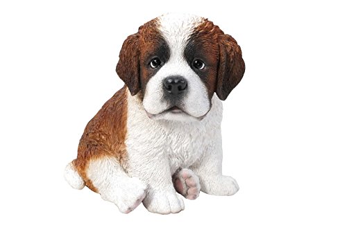 Sitting Saint Bernard Puppy, 675"