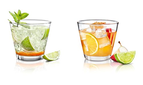 Blomus 63538 TEA-JAY on the rocks, Eisteezubereiter - 6