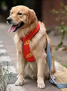 Mutt of Course Pupperoni Pizza Harness for Dogs (Large)