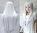 Produktbild MapofBeauty 40 Zoll/100cm Schöne Lange Cosplay Party Gerade Perücke (Silber Grau)