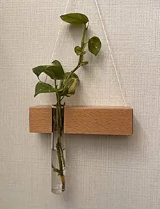Labzio Home - Elegant Wooden Flower vase with a Glass Test Tube for Homes , Offices , cafes , etc