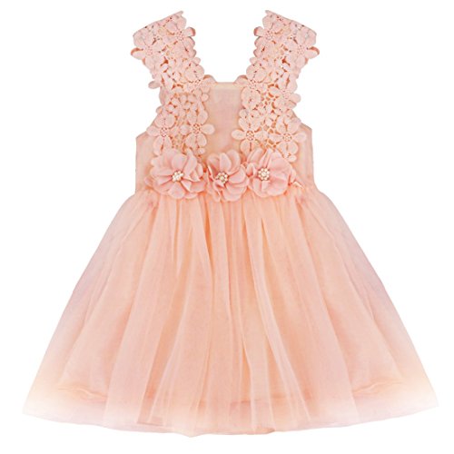 iiniim Baby Girls Flower Straps Mesh Party Wedding Christening Princess Dress Sundress Coral Pink 6-9 Months