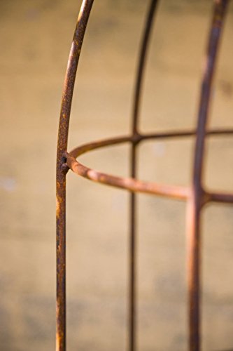 Blumenhilfe Ø 45cm Rankhilfe Obelisk Rost Höhe: 150 cm Rankgitter - 4