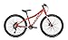 Produktbild Focus Raven Junior 26R Kinder & Jugend Mountain Bike 2019 (XS/36cm, Red)