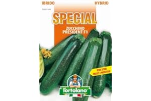 L'ORTOLANO Sementi di ortaggi ibride e selezioni speciali ad uso amatoriale in buste termosaldate (80 varietà) (ZUCCHINO PRESIDENT F1)