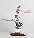 Ikebana 2012 by 