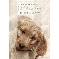 thumbnail image 2 of Brilliant Daughter Birthday Card - Cockapoo & Cake Design With Gold Foil, Eco-Friendly 2 of 2