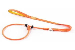 Howgo Dog Slip Lead Dog Leash, Training Leash, No-Pull Lightweight Slip Lead and Collar, Heavy Duty & Durable, Padded Handle, for All Breeds (Orange, 3.6FT)