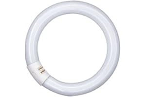 Osram Lumilux T9 Tubo Fluorescente GR10q, 22 W, Blanco (Cool White), 21.6 cm