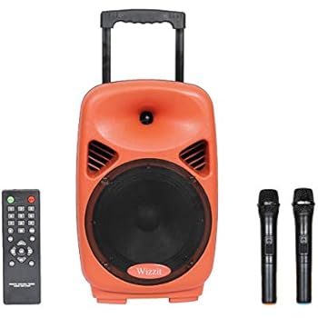 Artis BT918 Outdoor Bluetooth Speaker with USB/FM: Amazon