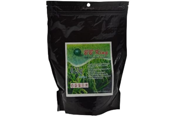 6mm de haute qualité Airsoft BIO balles 0,25g Airsoft BBs 8000 pièces
