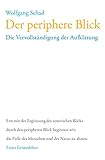 Der periphere Blick: Die Vervollständigung der Aufklärung (Anthroposophie und Naturwissenschaft) by