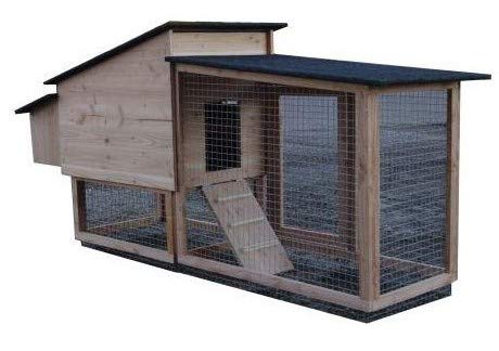 Poulailler Poules Achat Vente De Poulailler Pas Cher